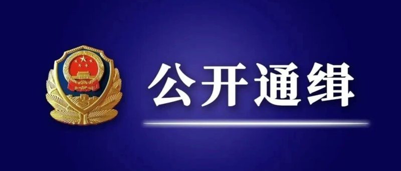 公安机关公开通缉100名电信网络诈骗犯罪在逃金主和骨干人员-宜凡博客